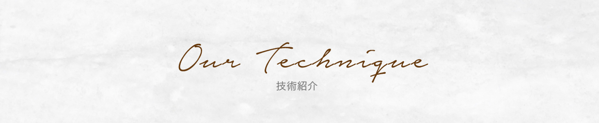 技術紹介 Our technique