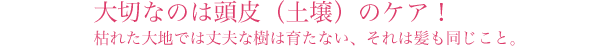 大切なのは頭皮（土壌）のケア！枯れた大地では丈夫な樹は育たない、それは髪も同じこと。